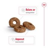 Mini Ageing 12+ Torrfoder för hund