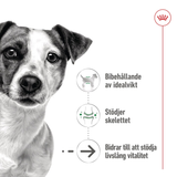 Mini Ageing Våtfoder för hund