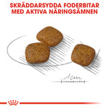 Urinary Care Adult Mini Torrfoder för hund