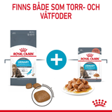 Urinary Care Adult Torrfoder för Katt