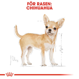 Chihuahua Adult Våtfoder för hund