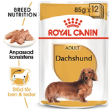Dachshund Adult Våtfoder för hund