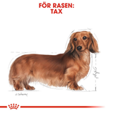 Dachshund Adult Våtfoder för hund