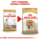 Beagle Adult Torrfoder för hund