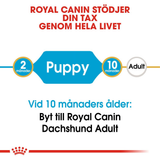 Dachshund Junior Puppy Torrfoder