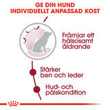 Medium Ageing 10+ Torrfoder för hund