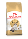 Ragdoll Adult Torrfoder för katt
