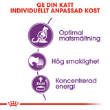 Sensible 33 Adult Torrfoder för katt