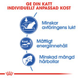 Indoor Adult Torrfoder för Katt