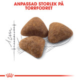 Indoor Adult Torrfoder för Katt