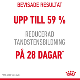 Dental Care Adult Torrfoder för Katt