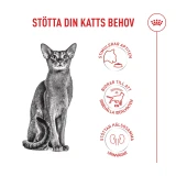Fussy Torrfoder för Katt