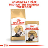 Persian Adult Torrfoder för Katt