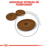 Digestive Care Adult Torrfoder för katt