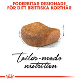 British Shorthair Adult Torrfoder för Katt