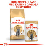 British Shorthair Adult Torrfoder för Katt
