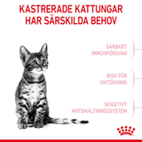 Sterilised Kitten Torrfoder