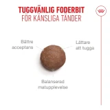 Sterilised Ageing 11+ Torrfoder för katt
