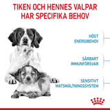 Medium Starter Mother & Babydog Torrfoder för hund