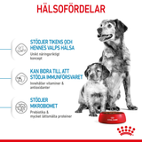 Medium Starter Mother & Babydog Torrfoder för hund