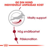 Medium 7+ Adult Torrfoder för hund