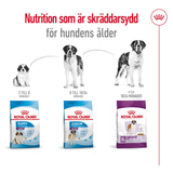 Giant Adult Torrfoder för hund