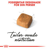 Persian Kitten Torrfoder för Kattunge