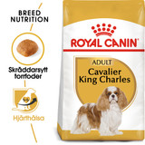 Cavalier King Charles Adult Torrfoder för hund
