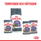 Appetite Control Sterilised Adult Torrfoder för Katt