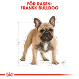 French Bulldog Adult Torrfoder för hund