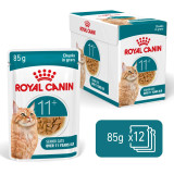 Ageing Gravy 11+ Våtfoder för katt