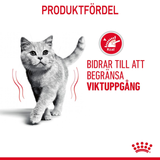 Light Weight Care Adult Torrfoder för katt