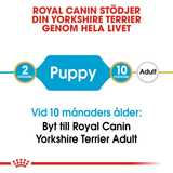 Yorkshire Terrier Puppy Torrfoder för hundvalp