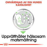 Digestive Care Adult Våtfoder för hund