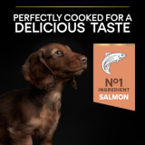 Small & Mini Puppy Sensitive Skin Salmon