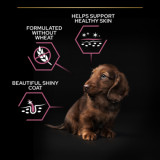Small & Mini Puppy Sensitive Skin Salmon