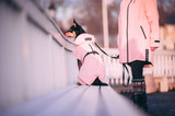 Reflekterande Regnjacka Hund, Rosa utgående