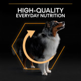 Medium Adult Everyday Nutrition hundfoder
