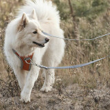 Venture No Pull Hundsele - Bilberry