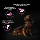 Small and Mini Adult 9+ Senior Age Defence Chicken hundfoder