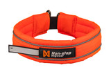 Safe Collar Hundhalsband
