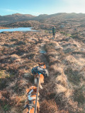 Amundsen Pro-Dog Backpack