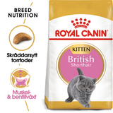 British Shorthair Torrfoder för Kattunge