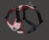 Divo Reflect Sele - Röd/grå M