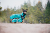 Reflekterande Regnjacka Hund, Emerald