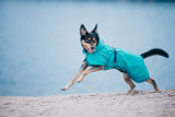 Reflekterande Regnjacka Hund, Emerald