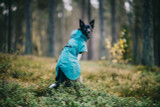Reflekterande Regnjacka Hund, Emerald