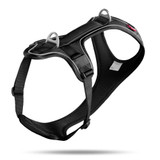 Belka Comfort Harness Ergonmisk Hundsele - Black XS, Black S, Black M, Black L, Black XL