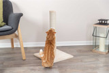 Klöspelare Batres Till Katt