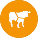 Classic Red Hundfoder